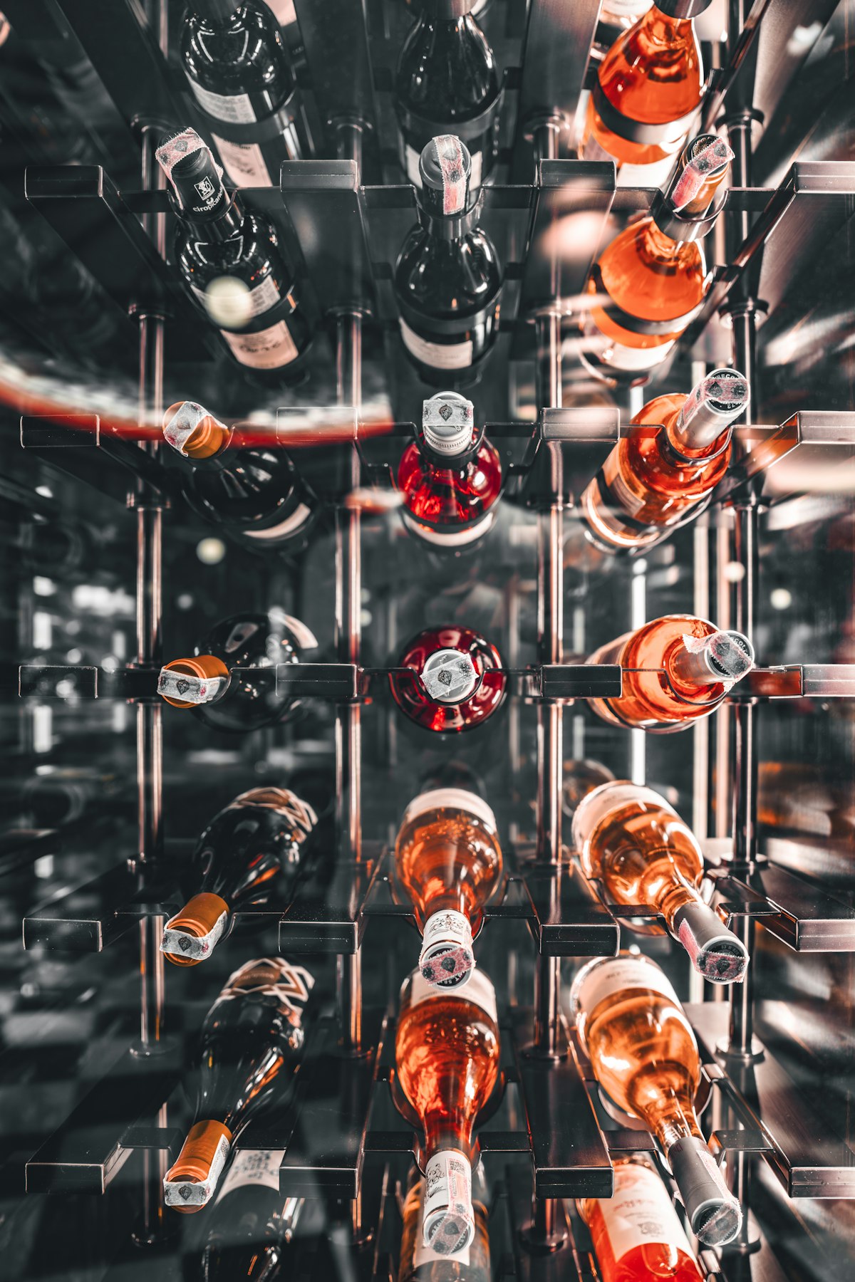 Rows of wine bottles stored in a temperature-controlled cellar, the storage conditions a working cooler reproduces
