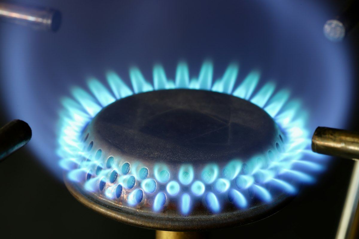 A close-up of an even blue gas burner flame ring on a cooktop